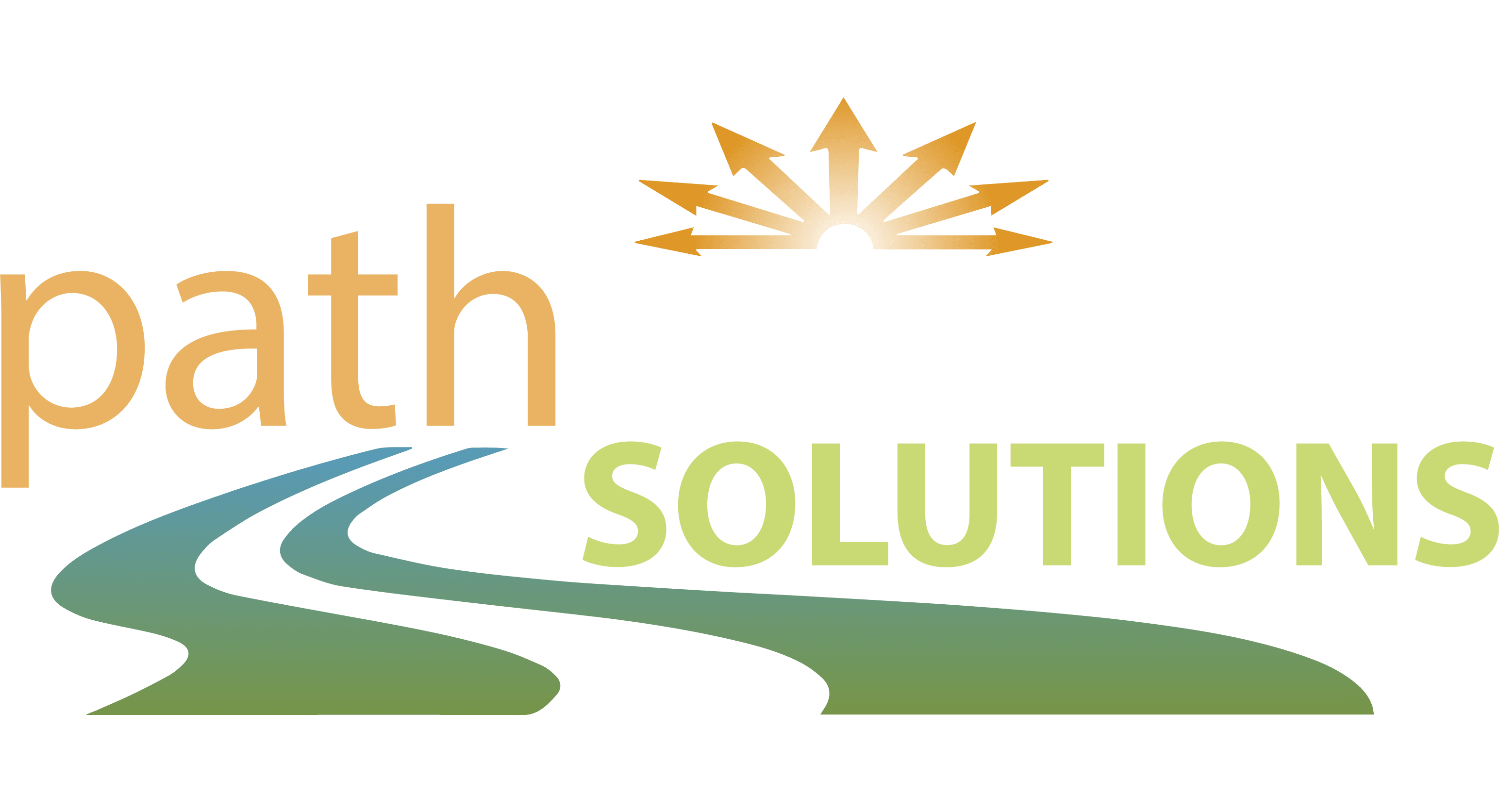 Pathwise solution